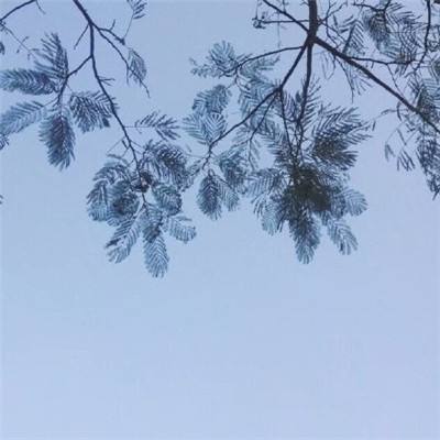 艾伦战纪破解版下载